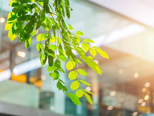 Building a Sustainable Future