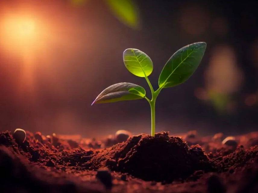 Building a Sustainable Future
